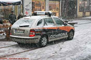IMG_ (11425)